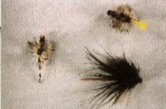 K6 - Ken's YellowTailed Wooly Booger - Ken's Black Olive Wasp - Ken's Black Widow - 2 for $5